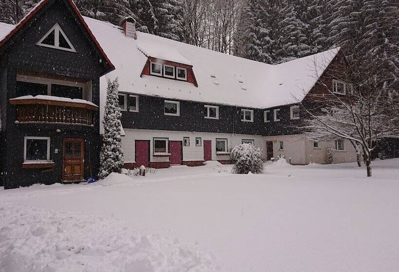 Ferienwohnungen Wiesenhof