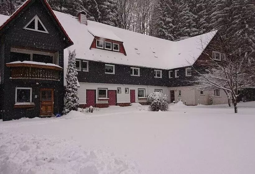 Ferienwohnungen Wiesenhof