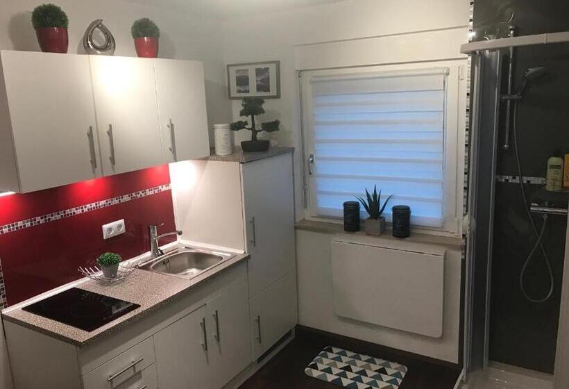 Studio Typ Apartment La Marie