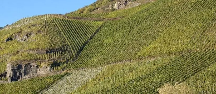 Weinvilla Heinrichshof