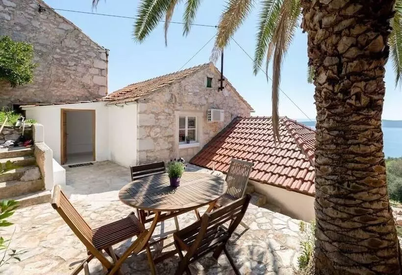 Luxury Apartment Ladovina