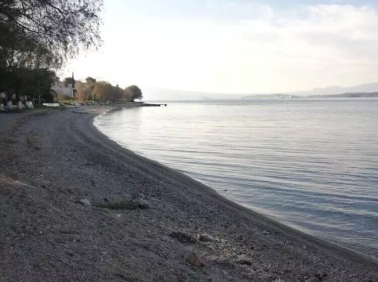 Salamina S Apartment