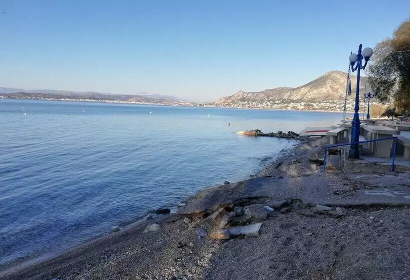 Salamina S Apartment