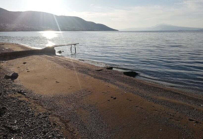 Salamina S Apartment