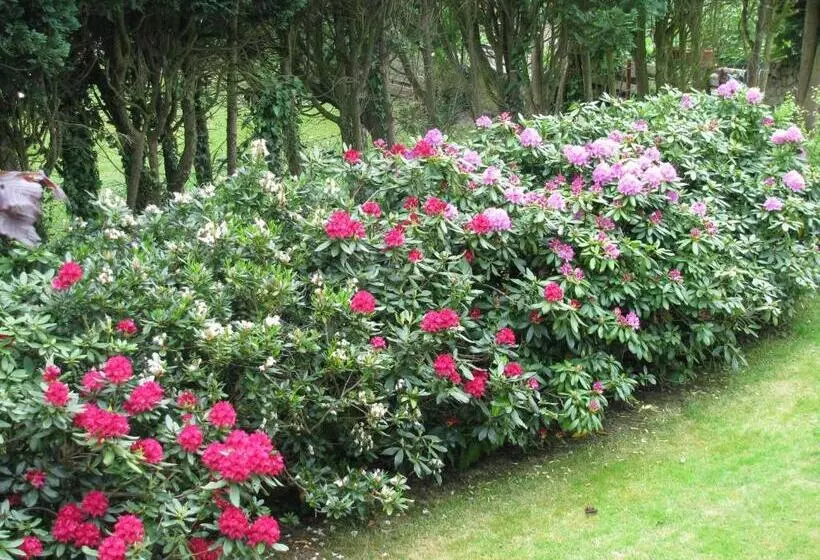 Ferienwohnung Schlossblick   4 Sterne Sauna Pool Whirlpool Privat