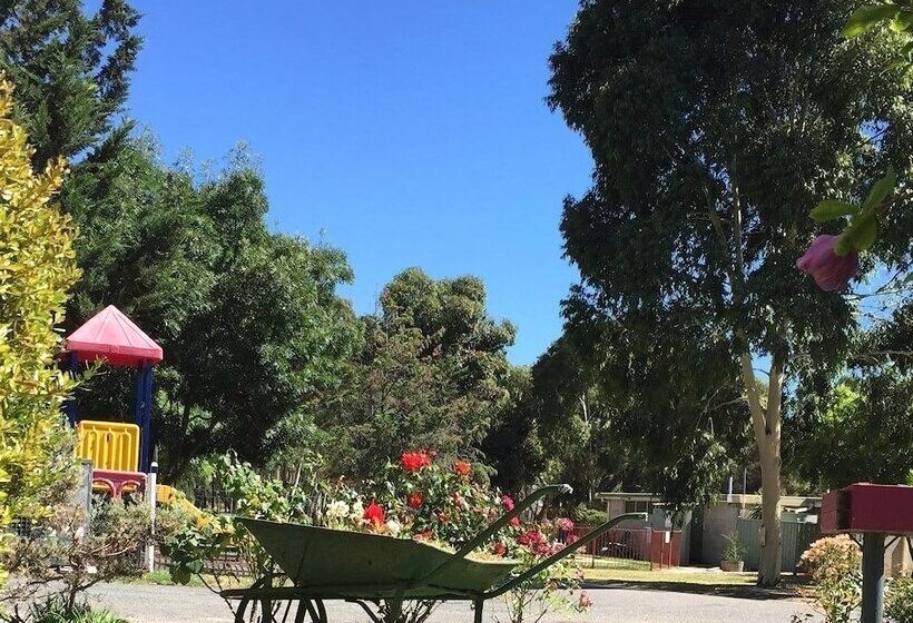 ホテル Acacia Caravan Park & Holiday Units