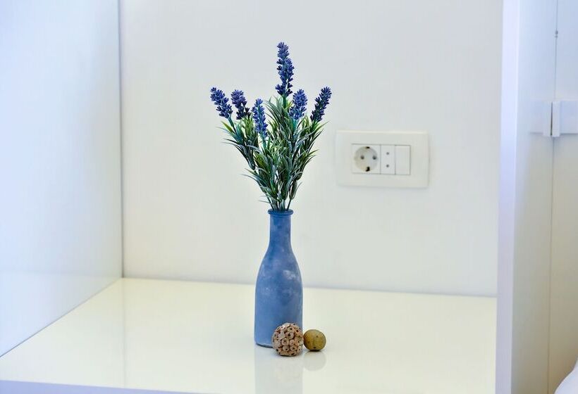 Split Summer Lounge Apartments