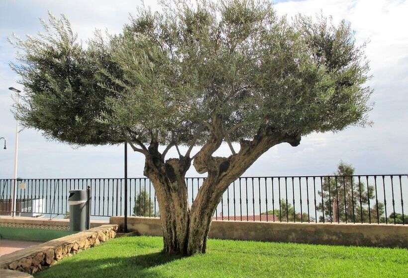 Apartamento A 500 Metros De La Playa