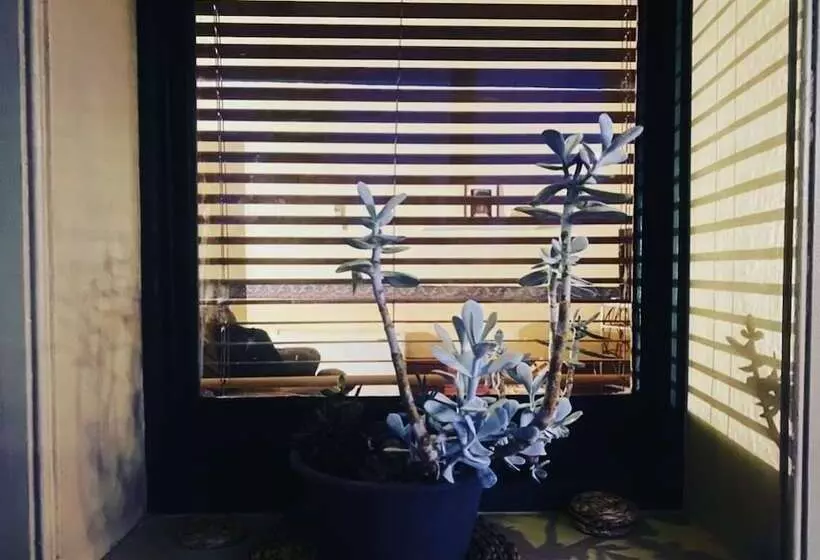 Tree House Hideouts Heygarth House