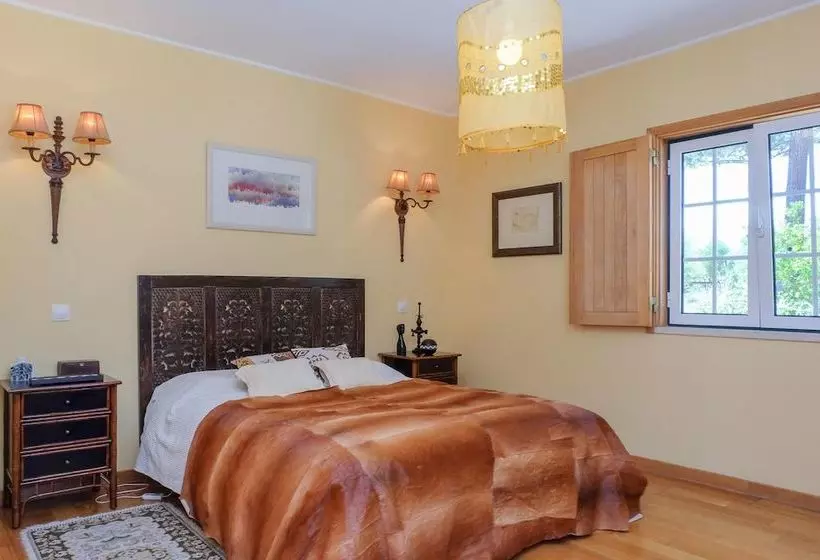 Sunny Villa In Comporta With Private Pool