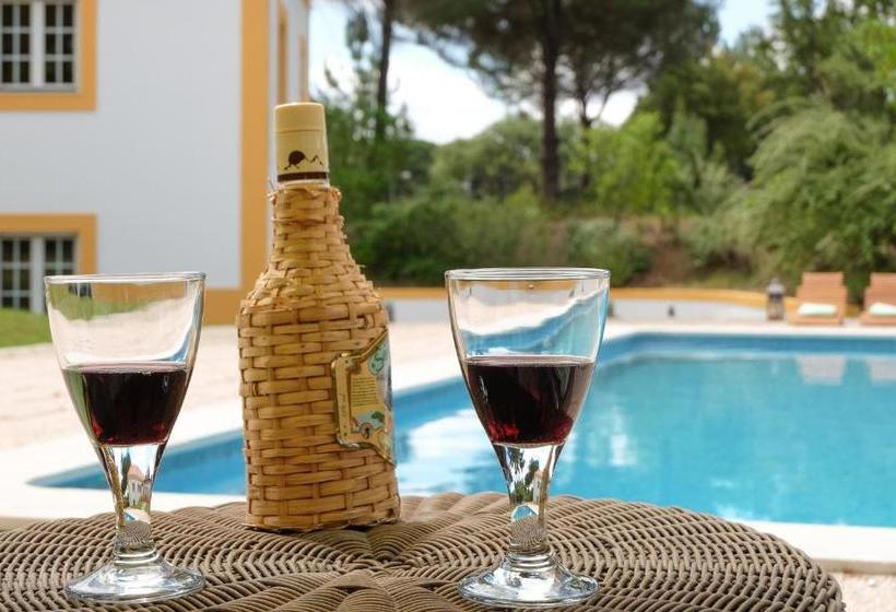 Sunny Villa In Comporta With Private Pool