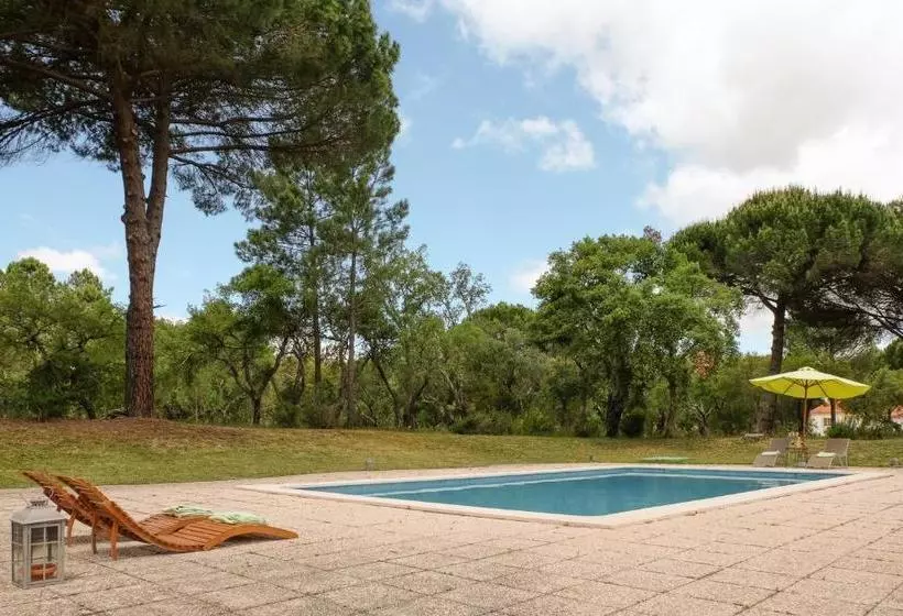 Sunny Villa In Comporta With Private Pool