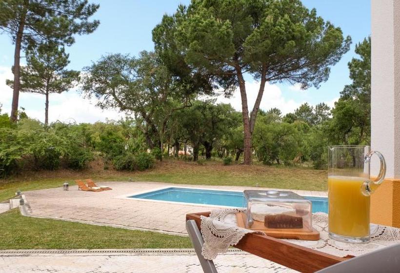Sunny Villa In Comporta With Private Pool