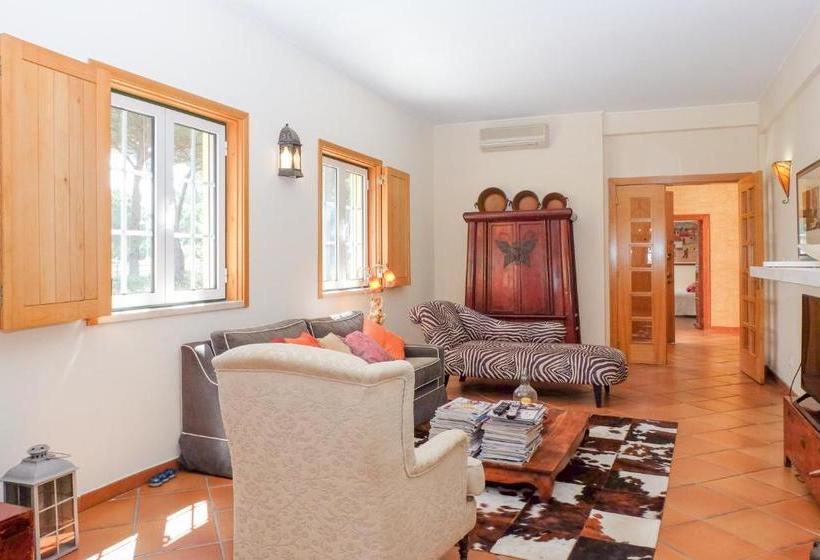 Sunny Villa In Comporta With Private Pool
