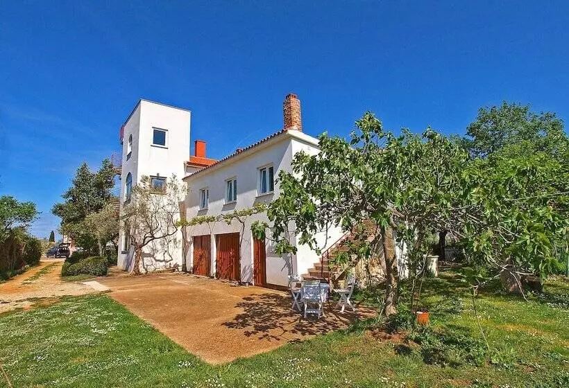 Apartments Fazana 407