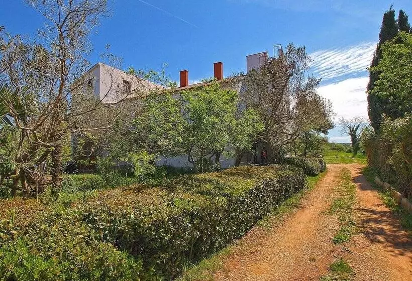 Apartments Fazana 407