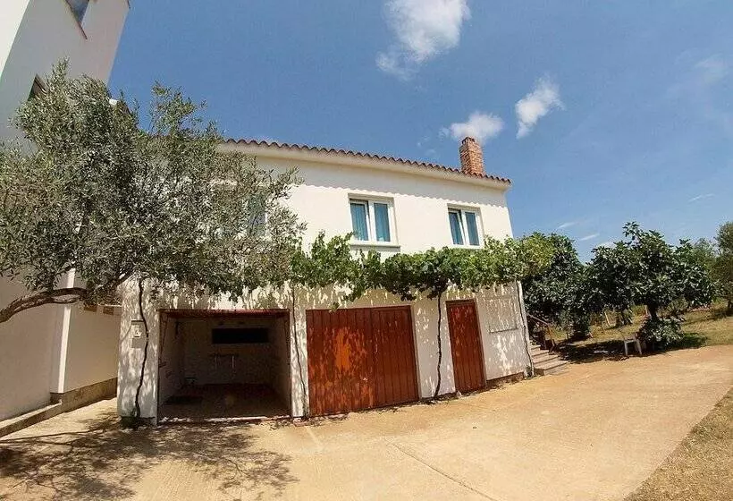 Apartments Fazana 407