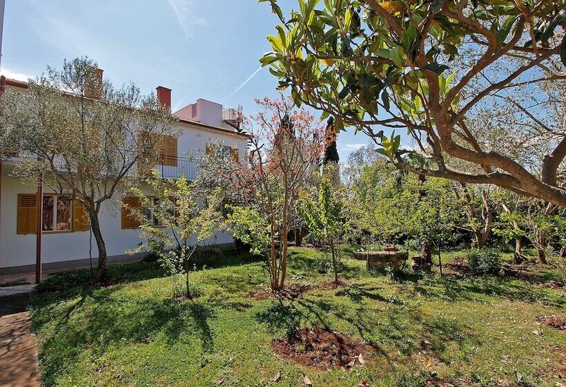 Apartments Fazana 407