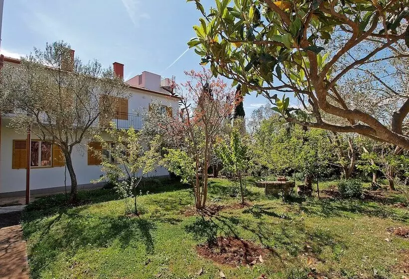 Apartments Fazana 407