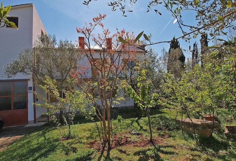 Apartments Fazana 407