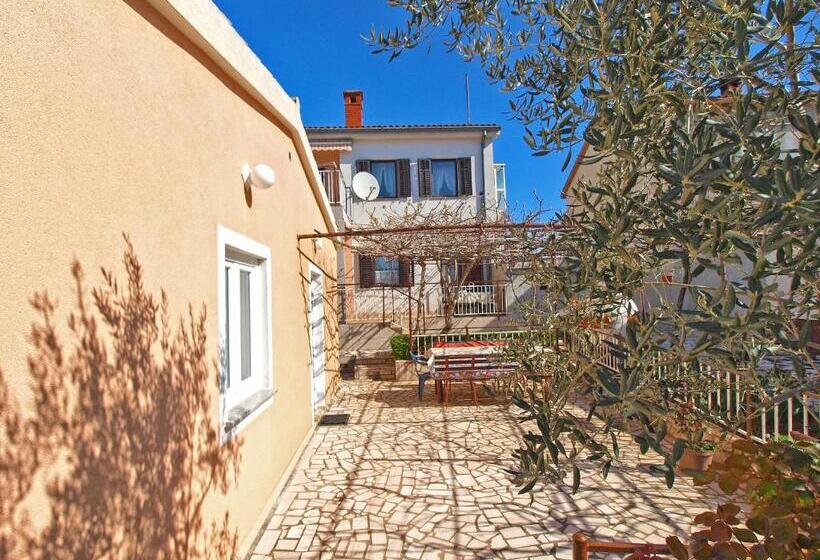 Apartments Petar 1306