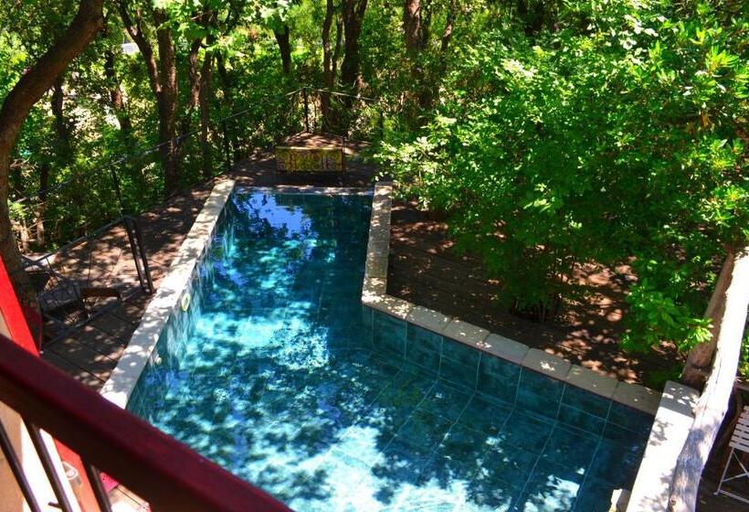 بنسيون Maison De La Vigne