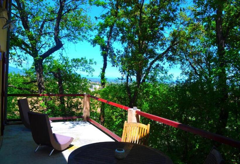 بنسيون Maison De La Vigne