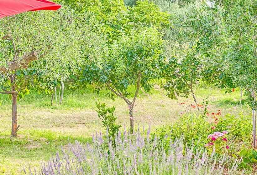 Blue Story Apartments