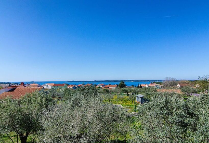 Blue Story Apartments