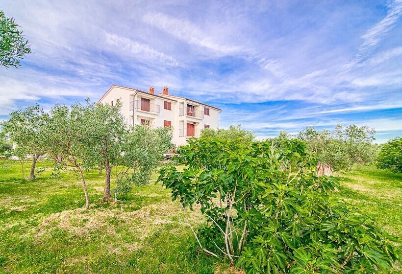 Blue Story Apartments