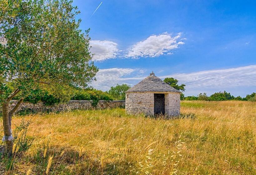Blue Story Apartments