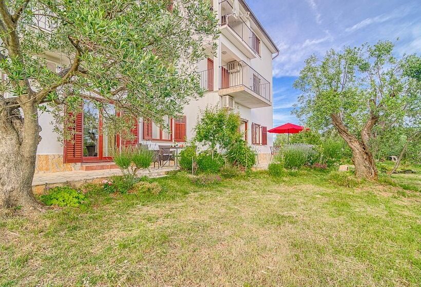 Blue Story Apartments