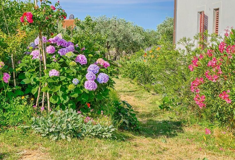 Blue Story Apartments