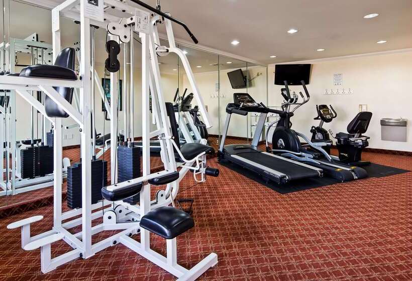 בית מלון כפרי Best Western Garden Inn