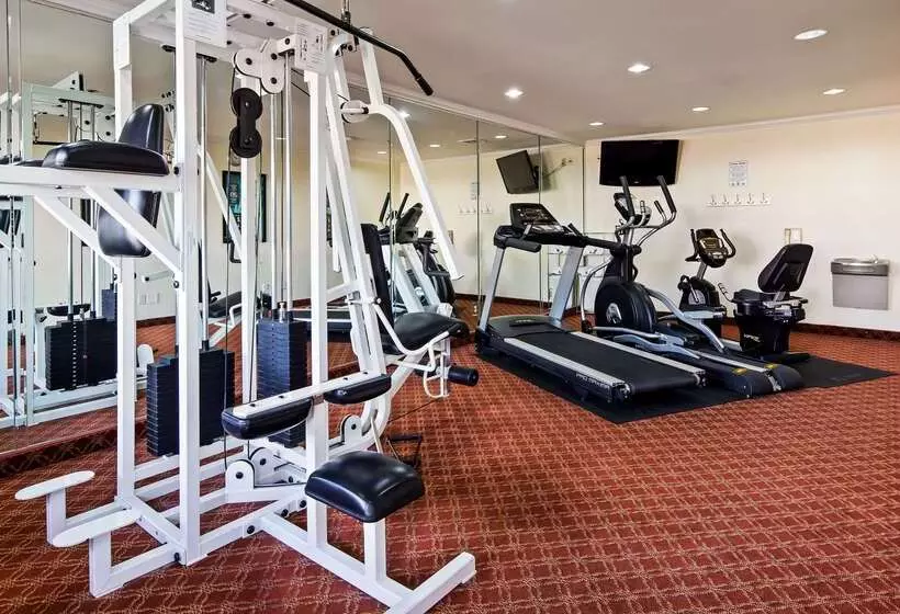 فندق Best Western Garden Inn