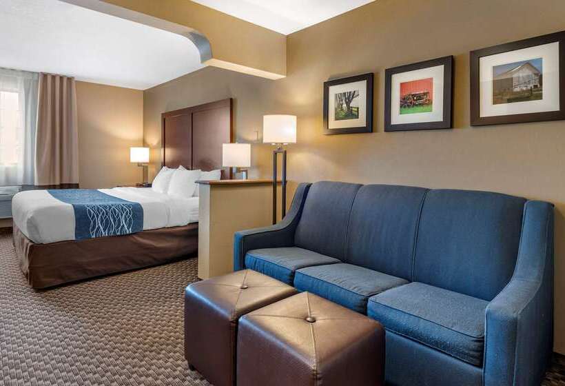 Отель Comfort Inn & Suites Napoleon