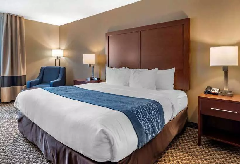 호텔 Comfort Inn & Suites Napoleon