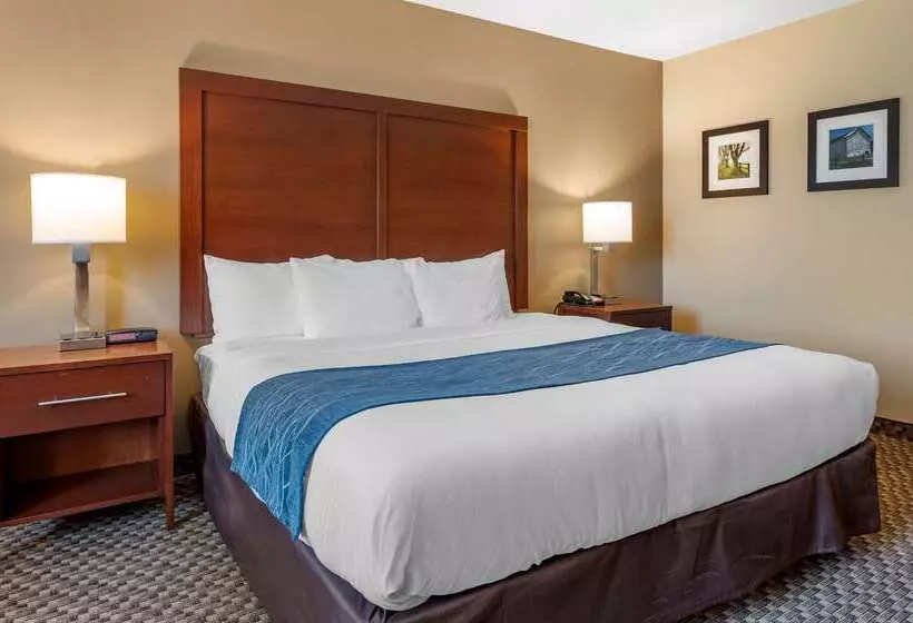 호텔 Comfort Inn & Suites Napoleon