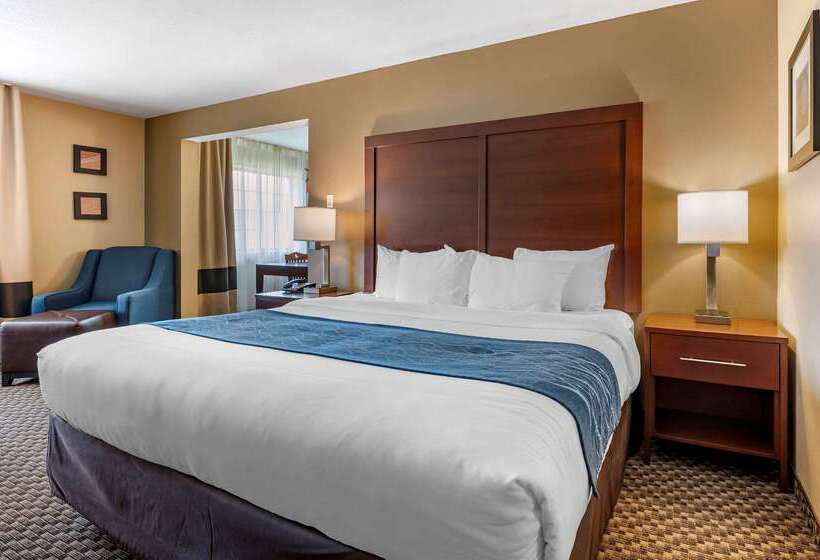 Отель Comfort Inn & Suites Napoleon