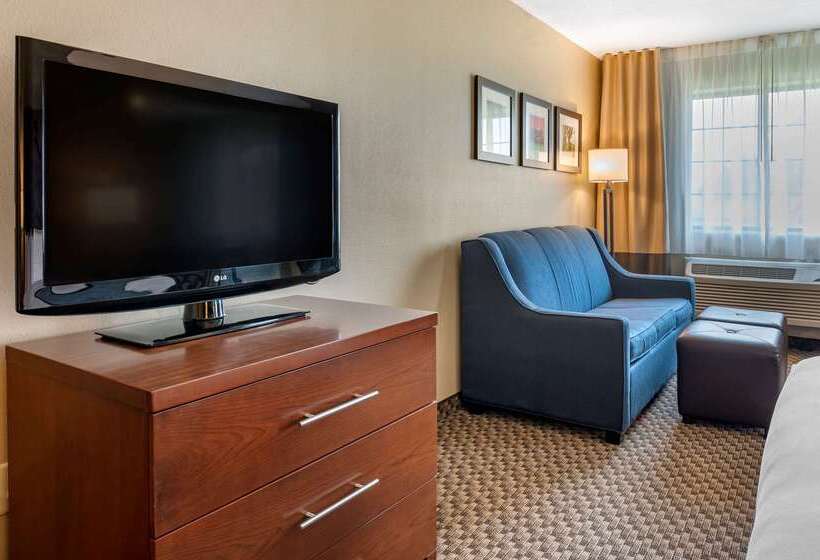 Отель Comfort Inn & Suites Napoleon