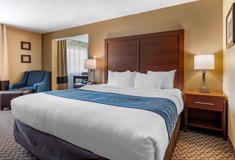 Отель Comfort Inn & Suites Napoleon