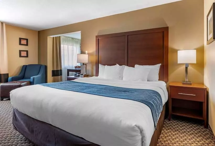 호텔 Comfort Inn & Suites Napoleon