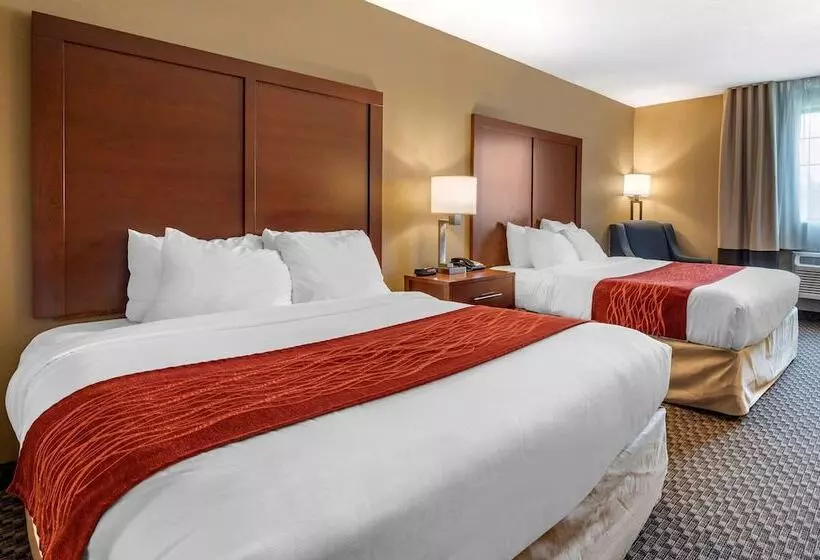 호텔 Comfort Inn & Suites Napoleon