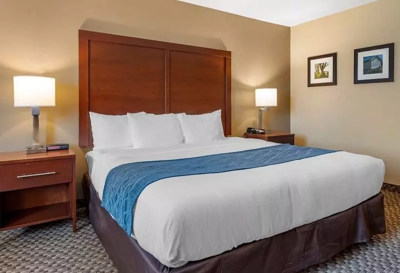 호텔 Comfort Inn & Suites Napoleon