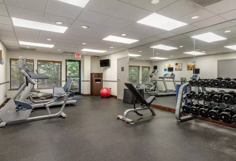 Отель Comfort Inn & Suites Dahlonega University Area