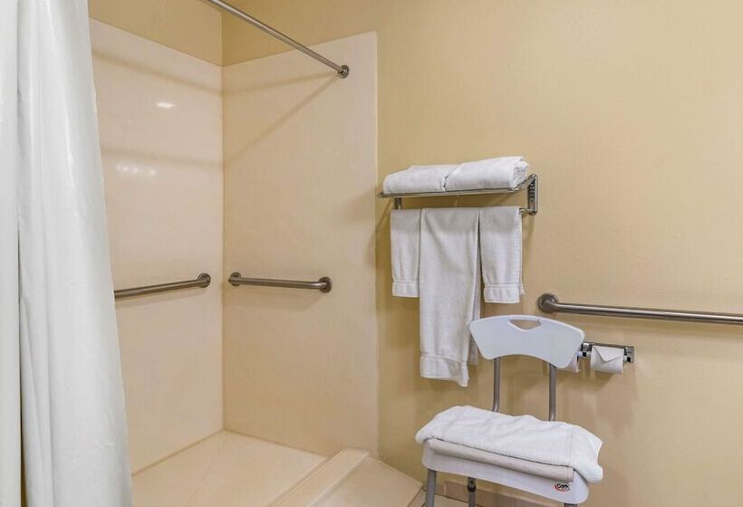 酒店 Comfort Inn & Suites Dahlonega University Area