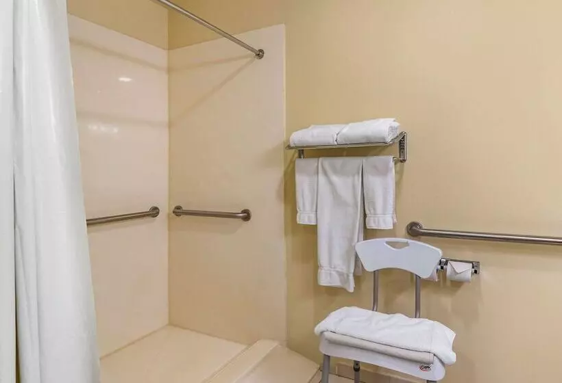 Отель Comfort Inn & Suites Dahlonega University Area