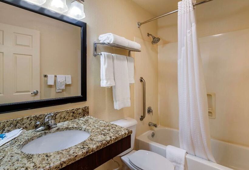 酒店 Comfort Inn & Suites Dahlonega University Area