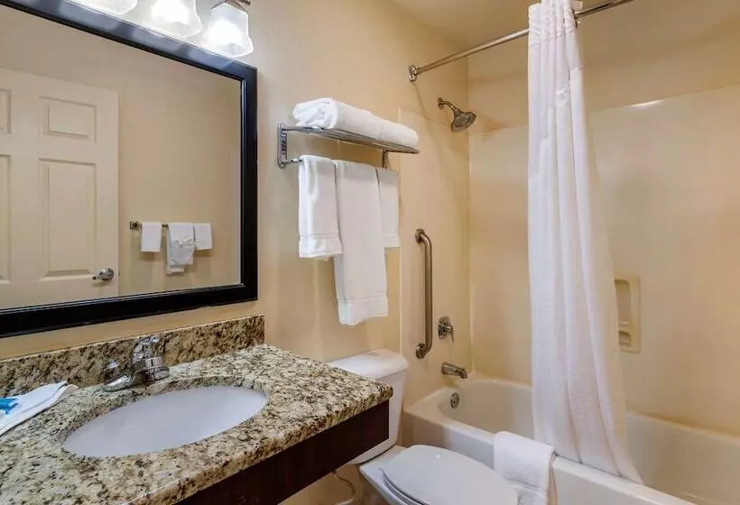 Отель Comfort Inn & Suites Dahlonega University Area