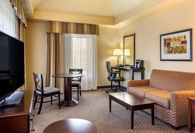 酒店 Comfort Inn & Suites Dahlonega University Area
